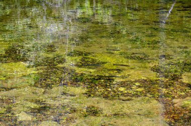 berrak sudan yansıyan parlak güneş ışığı, suyun altında yüzen balıklar gibi dokulu bir görünüm verir. Bokeh.