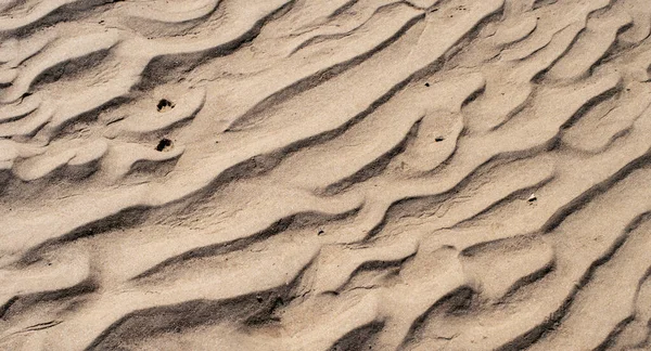 Close View Details Sand Would Make Nice Background Texture Depicting — стоковое фото