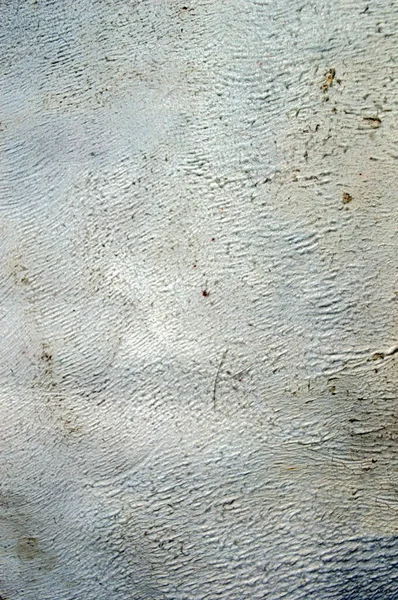 Eine Interessante Und Farbenfrohe Textur Der Rückseite Eines Hirschfells Kopierraum — Stockfoto