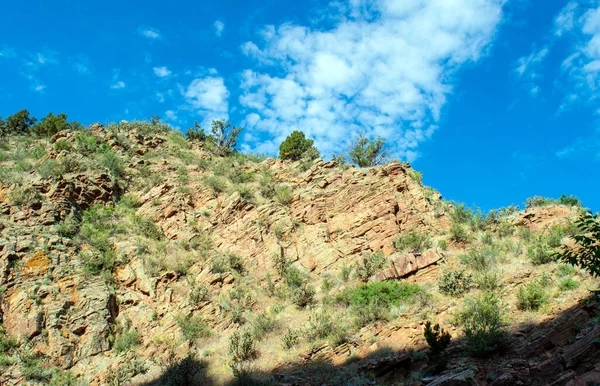 Яркое Голубое Небо Редкая Зеленая Листва Горе Колорадо Делают Потрясающую — стоковое фото