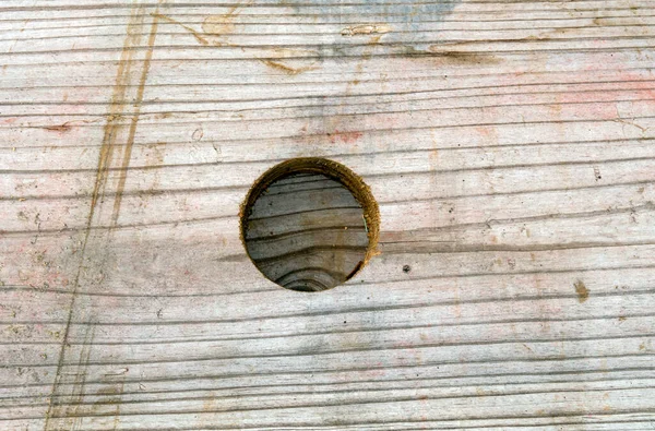 Close Look Perfectly Circle Cut Old Piece Wooden Lumber Grain — Stock Photo, Image