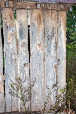 This old log structure nestled back in the woods portrays a sense of peace and romance. Bokeh.