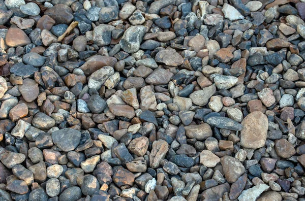 Pebbles Marrom Cinza Branco Uma Variedade Formas Tamanhos Faz Bom — Fotografia de Stock