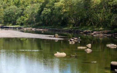 Arkansas nehri manzarası çok güzel ve açık havada olma arzusu uyandırıyor. Dikkatli bir bakış büyük bir mavi balıkçıl ortaya çıkarır ve sudaki yansıması ve bilinmeyen bir balıkçı..