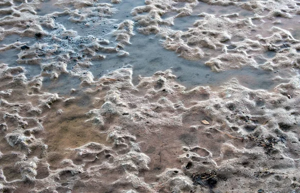 水は水辺近くの床のようなこの石の上の溝や隙間に満ちています 面白い水や石の背景やテクスチャを作る — ストック写真