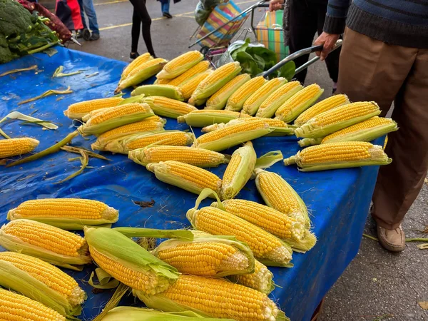 Fresh Corns Sale Market — Foto Stock