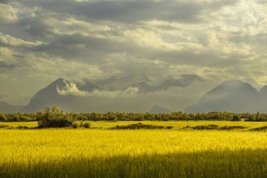 Renkli manzara ve bulutlu havada deniz feneri