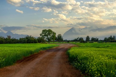Renkli manzara ve bulutlu havada deniz feneri