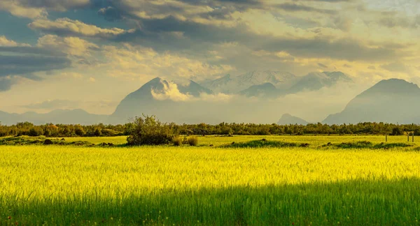 Renkli manzara ve bulutlu havada deniz feneri