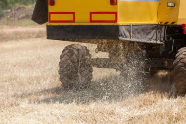 Arpa tarlalarını hasat eden hasatçıyı birleştirin. Tarım makineleri.
