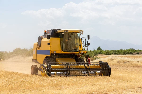 Combine Harvester Harvesting Barley Fields Agricultural Machinery Royalty Free Stock Photos