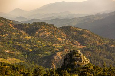 Sedir ağaçları ve dağ manzarası
