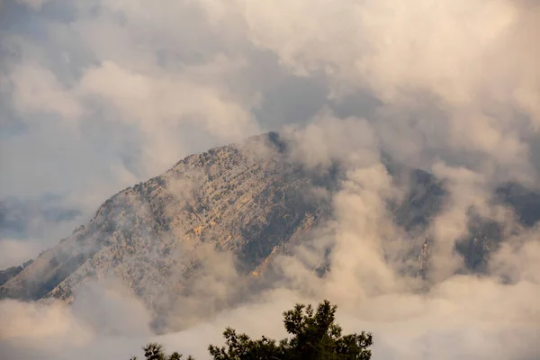 Cloudy Mountain Peak Pine Trees — Stock Photo, Image