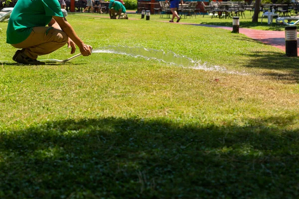 Gardener Watering Lawn Garden — 스톡 사진