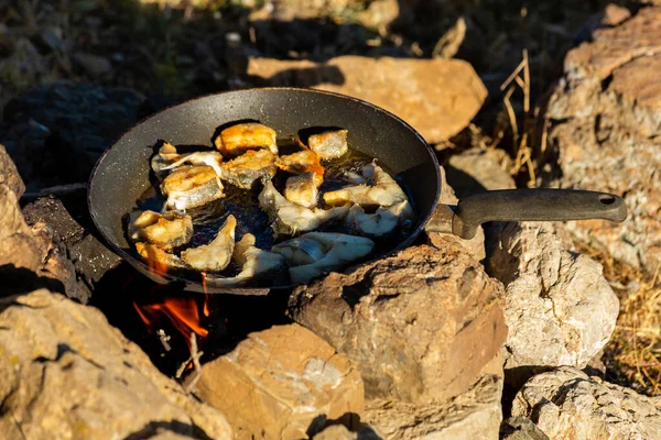 Frying fish in oil in a pan in the camp