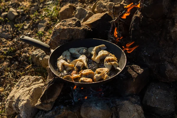 Frying fish in oil in a pan in the camp