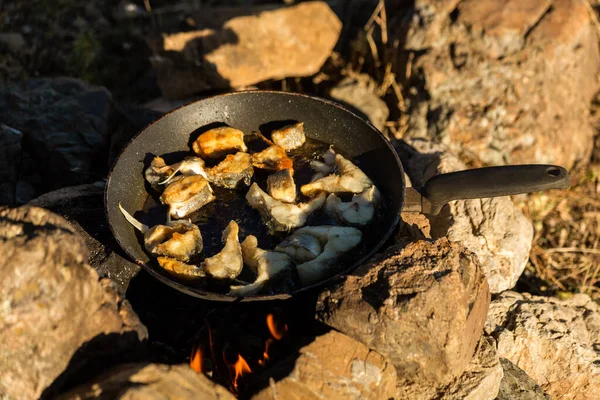 Frying fish in oil in a pan in the camp