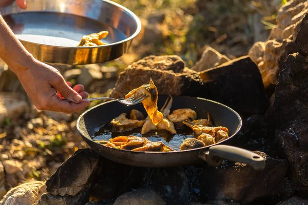 Frying Fish Oil Pan Camp — Zdjęcie stockowe