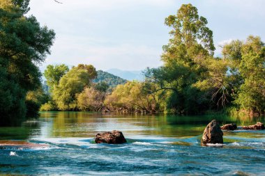 Manavgat deresi ormanda akıyor.