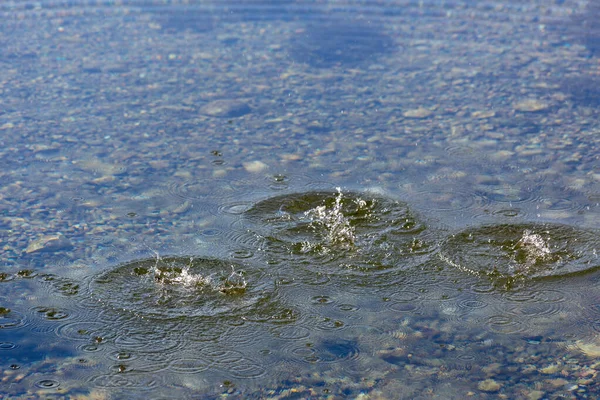 Round droplets of water over circles on the pool water. Water drop, whirl and splash. Ripples on sea texture pattern background. Desktop / laptop wallpaper. Closeup water rings affect the surface.