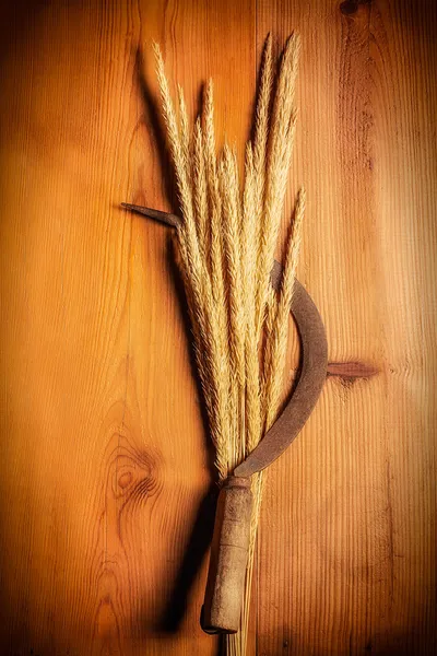 Sickle with Spikes — Stock Photo, Image