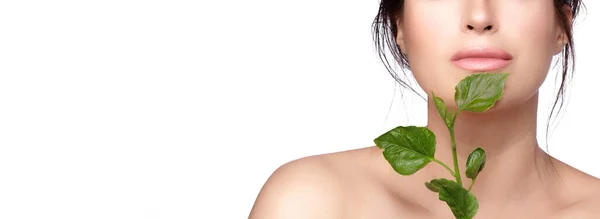 Natürliche Schönheit Mit Grünen Blättern Schöne Frau Mit Makelloser Haut — Stockfoto