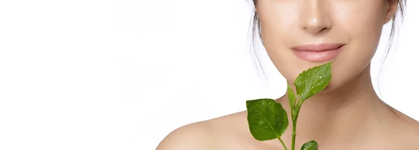 Beauty Spa Woman Fresh Leaf Face Beauty Panorama Banner Isolated — Stock Photo, Image
