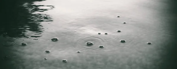 Tranquil Water Surface Placid Pond Water Tree Reflection Fragile Water — Stock Photo, Image