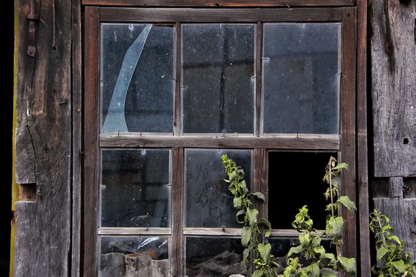 terk edilmiş bir evde kırılan pencere