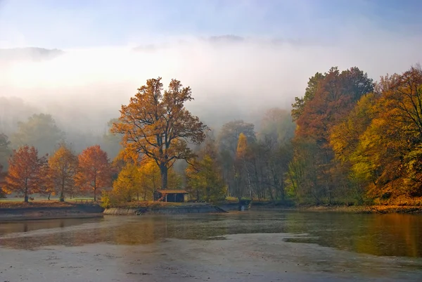 Schöne Herbstlandschaft — Stockfoto