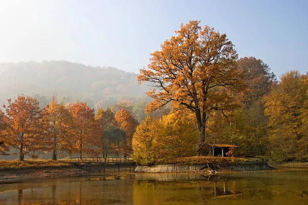 Красивый осенний пейзаж — стоковое фото