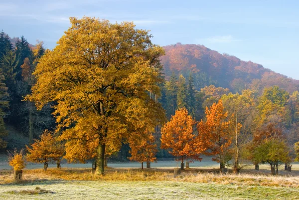 Vackert höstlandskap — Stockfoto