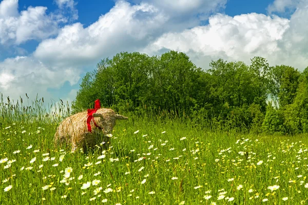 春の牧草地に藁の羊 — ストック写真
