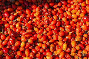 sağlıklı sonbahar meyve - rose HIPS