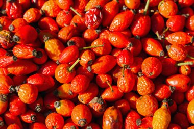 sağlıklı sonbahar meyve - rose HIPS