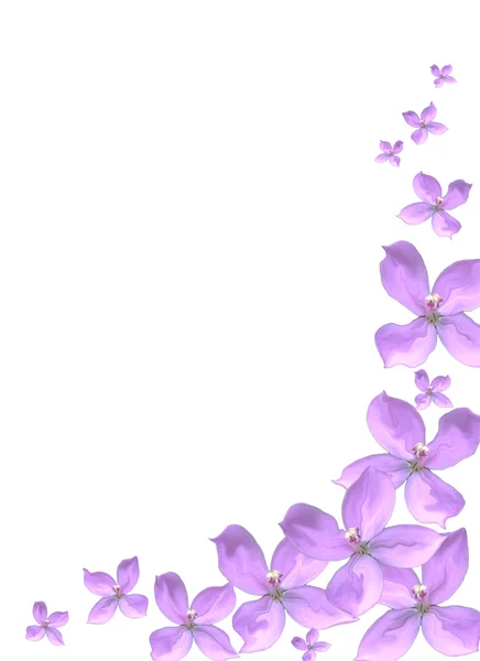 Paarse bloemen rand met kopie ruimte — Stockfoto