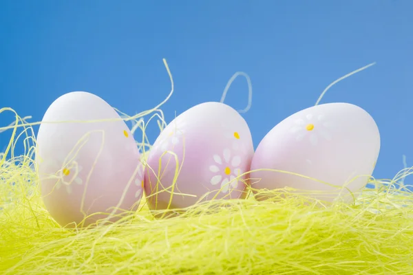 Uova di quaglia su erba o prato — Foto Stock