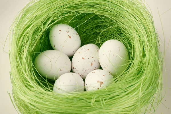 Пасхальные яйца в круговом гнезде — стоковое фото