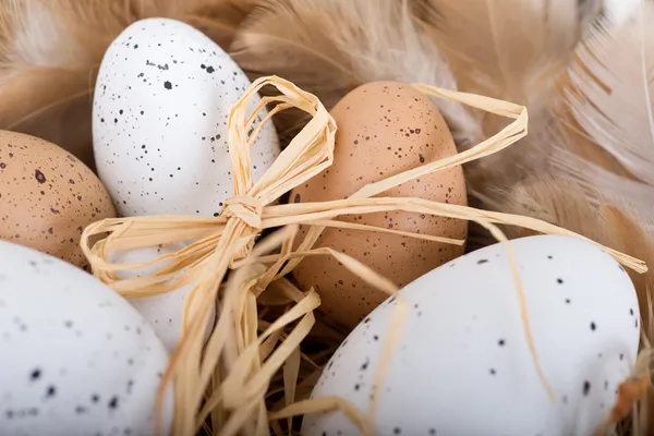 Пасхальные яйца и перья в корзине — стоковое фото