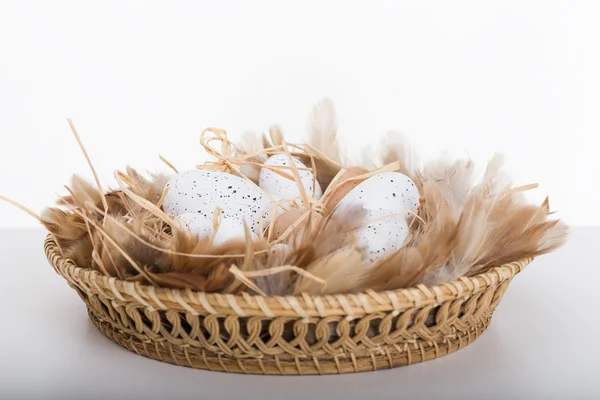 Ovos de Páscoa e penas em cesta marrom — Fotografia de Stock