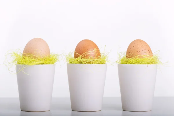 Пасхальные яйца в чашке — стоковое фото