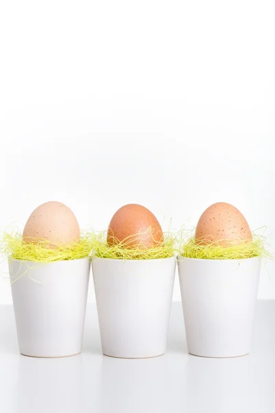Три яйца в белых чашках — стоковое фото