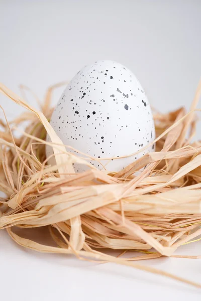 Easter egg in grass and nest on bright floor — Stock Photo, Image