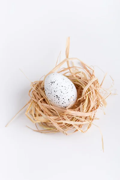 Easter egg in grass and nest on white — Stock Photo, Image