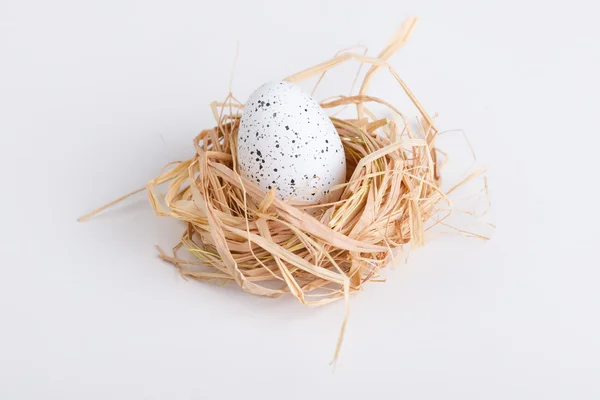 One Easter egg in nest on white — Stock Photo, Image