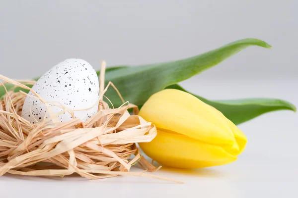 Tulipán, huevo de Pascua en el nido en la mesa Imagen de stock