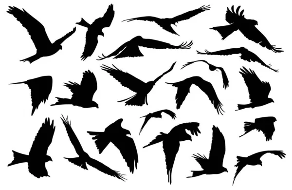 Das Set Silhouetten Von Vögeln Flug lizenzfreie Stockillustrationen