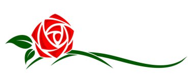 Tarz sahibi bir bahçe gülünün sembolü..