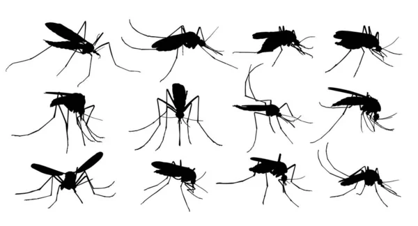 Silhuetas Conjunto Grandes Mosquitos — Vetor de Stock