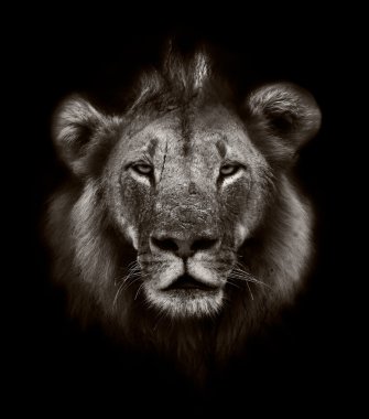 Aslan